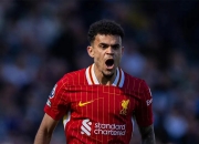 三亿体育体育网页版登录入口-利物浦客场奋力捍卫，力克富勒姆夺得三分的简单介绍