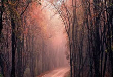 三亿体育体育平台-巴蒂带领狼队在主场取得重要胜利，积分榜上升的简单介绍