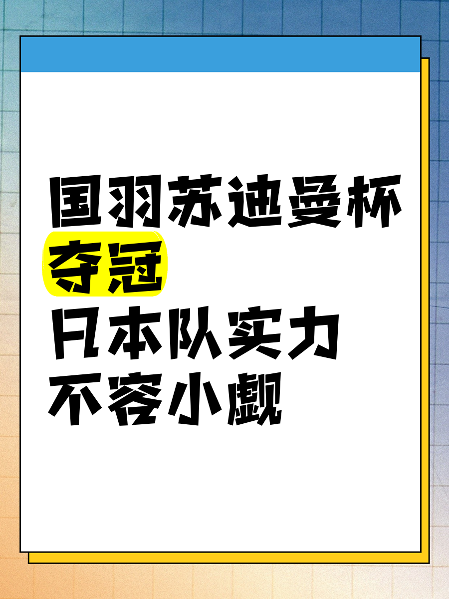 斯洛伐克反击起风波，实力不容小觑的简单介绍