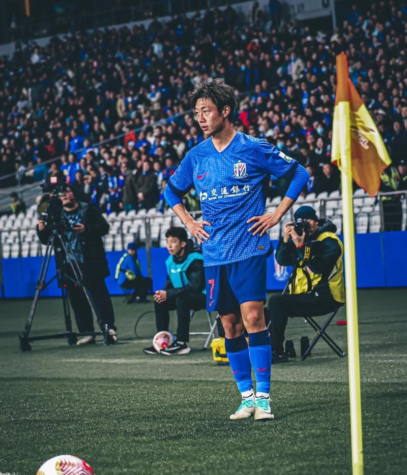 新晋球员表现抢眼，被球迷誉为未来之星的简单介绍