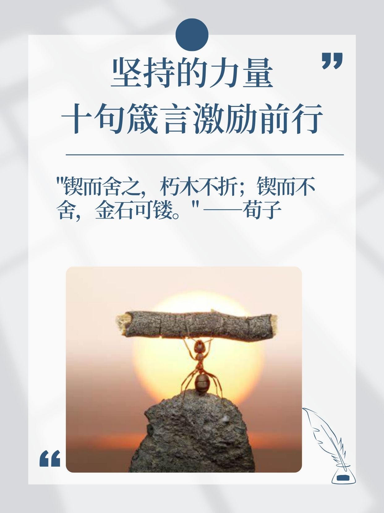 关于坚忍不拔加冕冠军，实力优秀无往不胜的信息